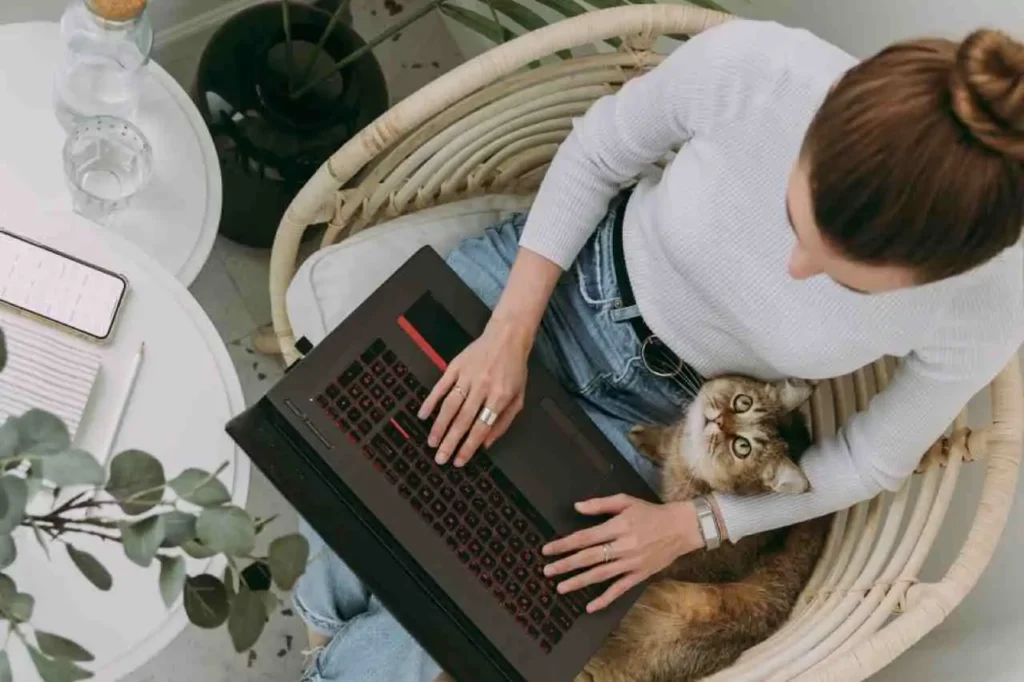 To system do zarządzania treścią strony internetowej lub bloga. Jest to najbardziej znany na świecie system. Panel ten pozwoli Ci na dodawanie nowych treści, dodawane oraz usuwanie zdjęć i edycję treści już istniejących.